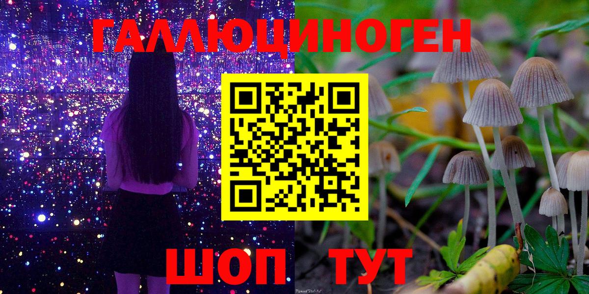 Одинцово  Галлюциногенные грибы прущие грибы  Галлюциногенные грибы мицелий  Вход с VPN 