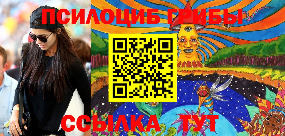 Псилоцибиновые грибы Psilocybe Одинцово